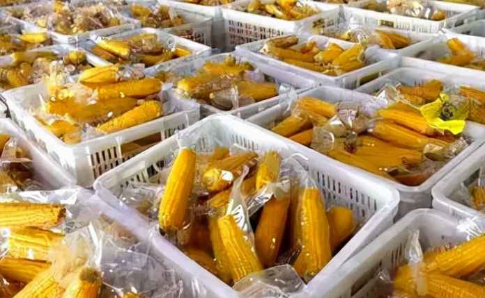 大量玉米除了冷庫保鮮儲存,還有其他方法嗎 大量玉米除了冷庫保鮮儲存,還有其他方法嗎