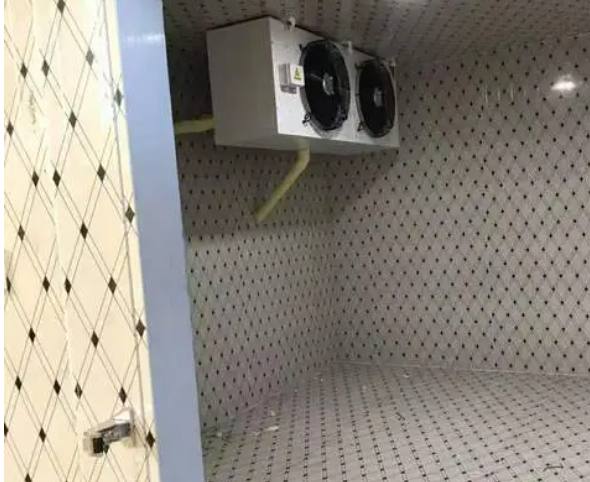 建造500平方米的食品速凍冷庫，其成本多少錢？