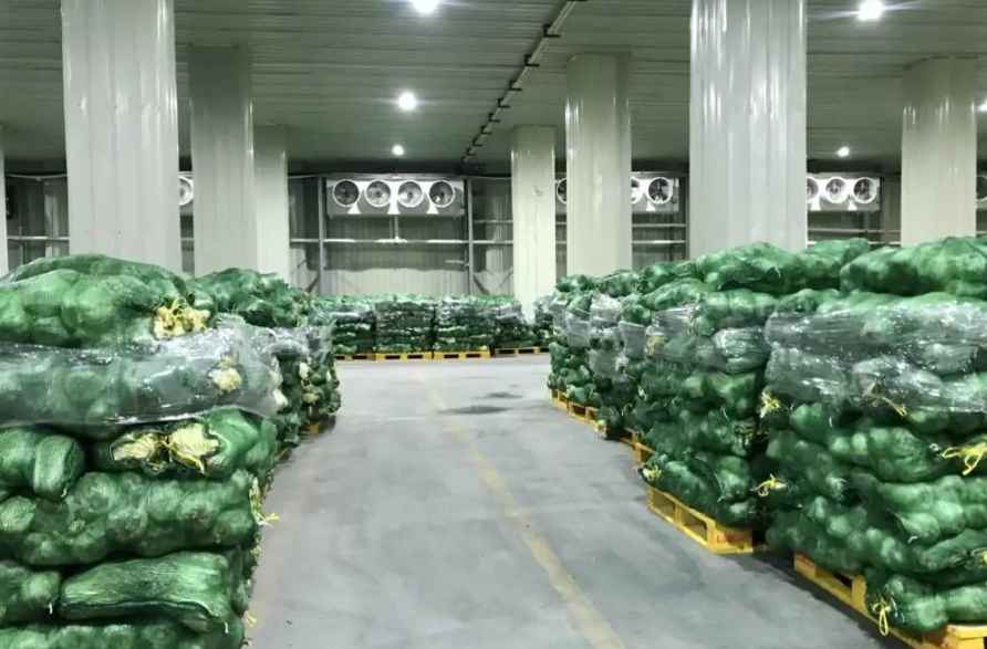 菜市場蔬菜冷庫理想建造面積應為多少平方米? 菜市場蔬菜冷庫理想建造面積應為多少平方米?