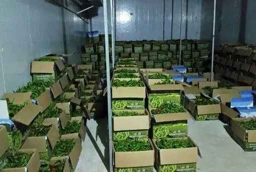 南京冷庫改造需要多少錢 南京冷庫改造需要多少錢