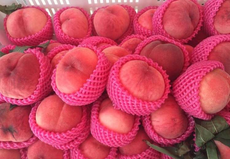 建一個200平米水蜜桃冷庫多少錢 建一個200平米水蜜桃冷庫多少錢