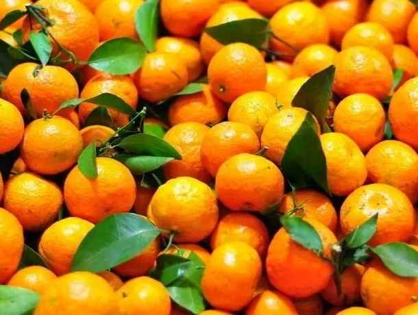 建一個50平米橘子冷庫要多少錢 建一個50平米橘子冷庫要多少錢