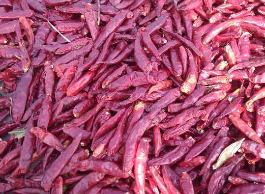 冷庫(kù)辣椒運(yùn)輸打冷多少度 冷庫(kù)辣椒運(yùn)輸打冷多少度