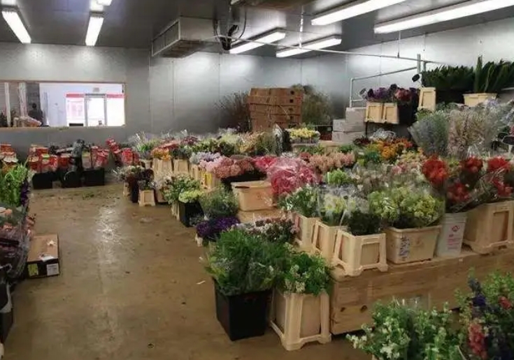 不同種類的鮮花對冷庫溫度的要求一樣嗎？